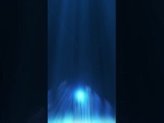 Bao bì kho hàng ((1)